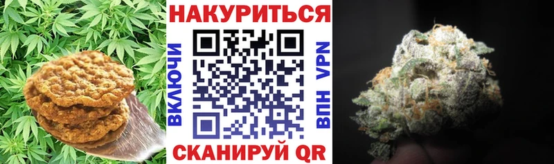 Cannafood конопля  Тбилисская 