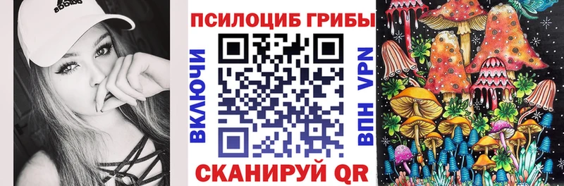 Псилоцибиновые грибы Magic Shrooms  даркнет сайт  Тбилисская 